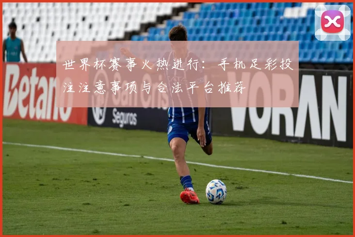 世界杯赛事火热进行：手机足彩投注注意事项与合法平台推荐