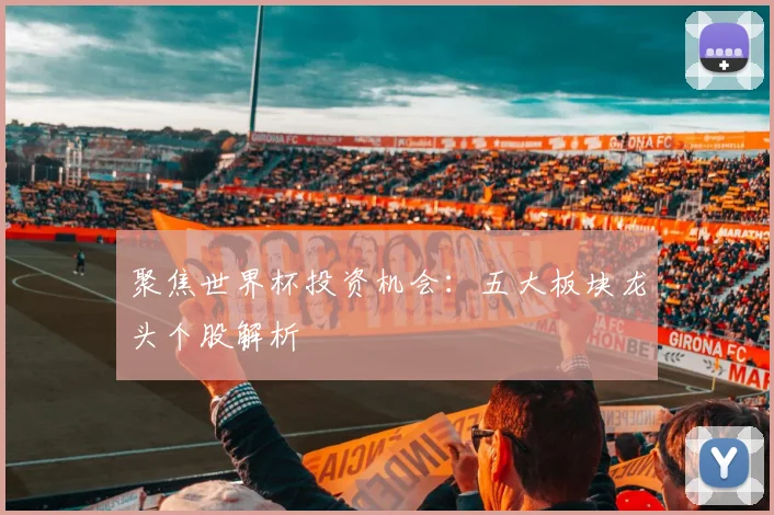 聚焦世界杯投资机会：五大板块龙头个股解析