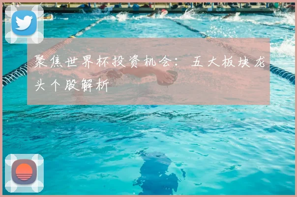 聚焦世界杯投资机会：五大板块龙头个股解析