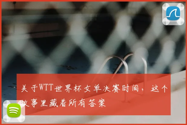 关于WTT世界杯女单决赛时间，这个故事里藏着所有答案